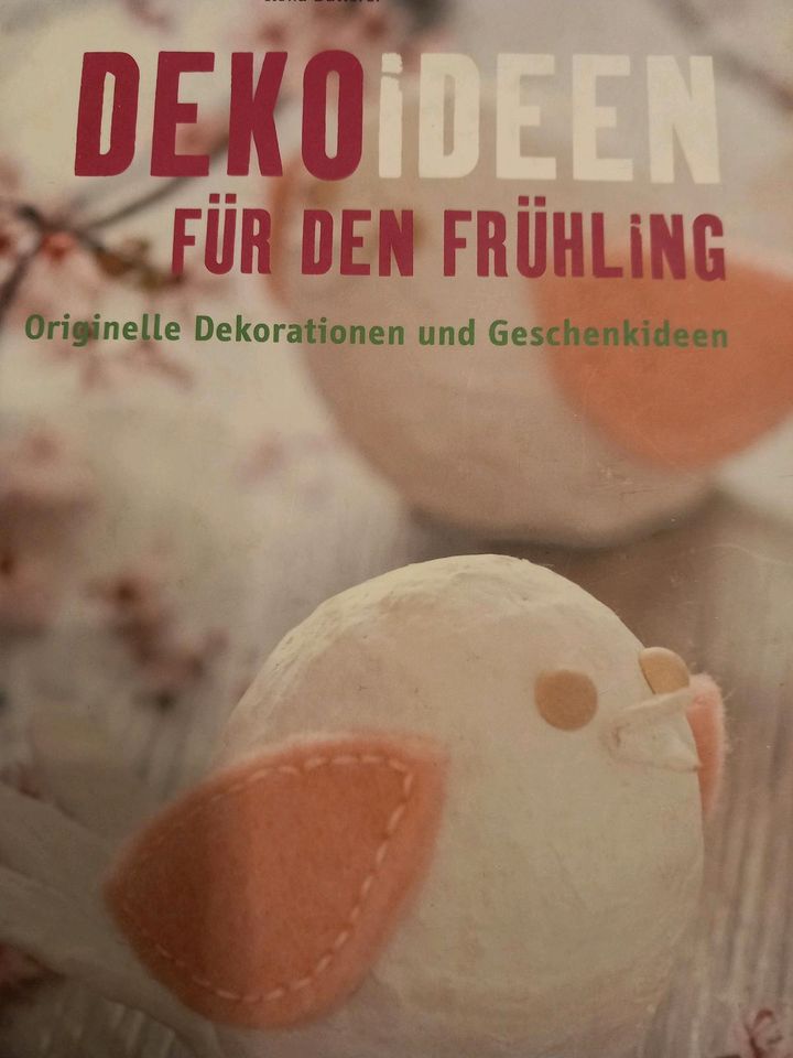 Natur Deko Blumen Pflanzen Weihnachten Frühling Dekoration Bücher in Niebüll