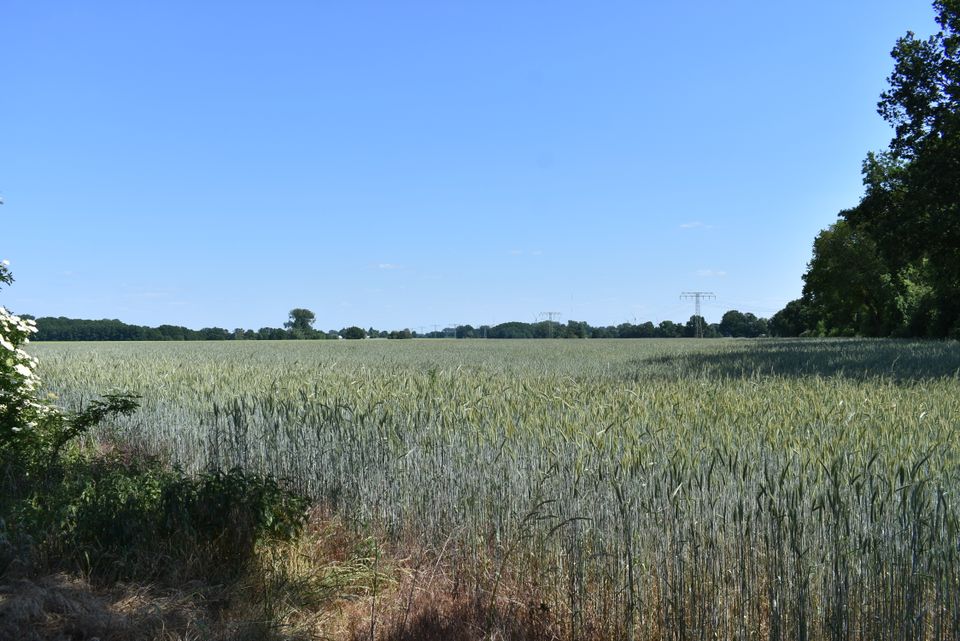 Knapp 17ha landw. Fläche - 82% Ackerland pachtfrei - gute Erreichbarkeit in Karstädt Prignitz