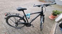 Raleigh Blackline 4.0 Herren Fahrrad zu verkaufen Hessen - Darmstadt Vorschau