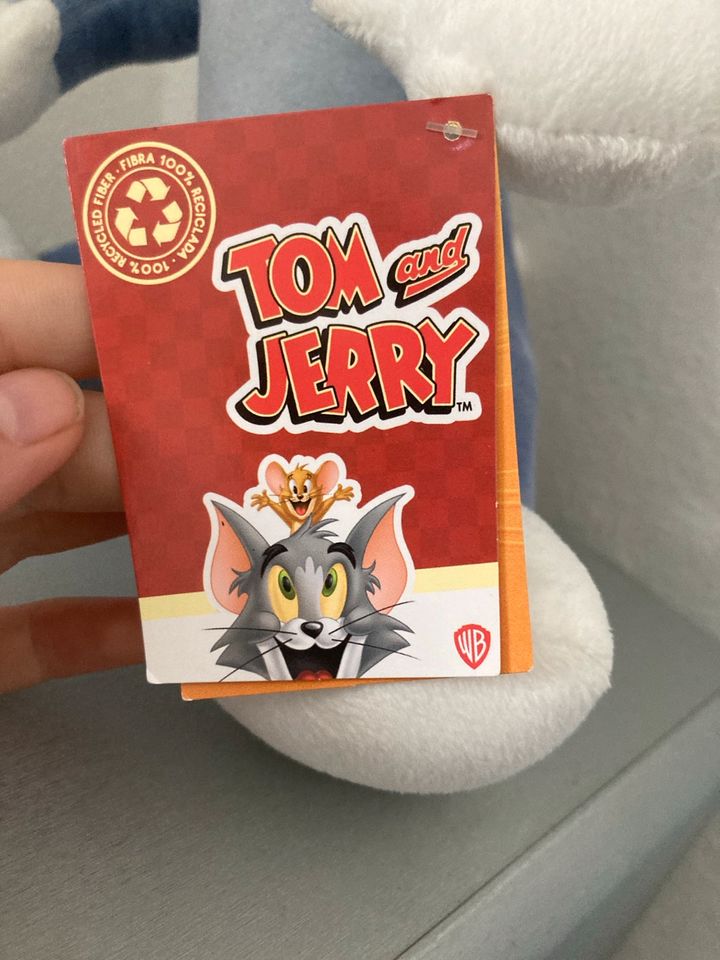 Originale Tom und Jerry Katze in Regensburg