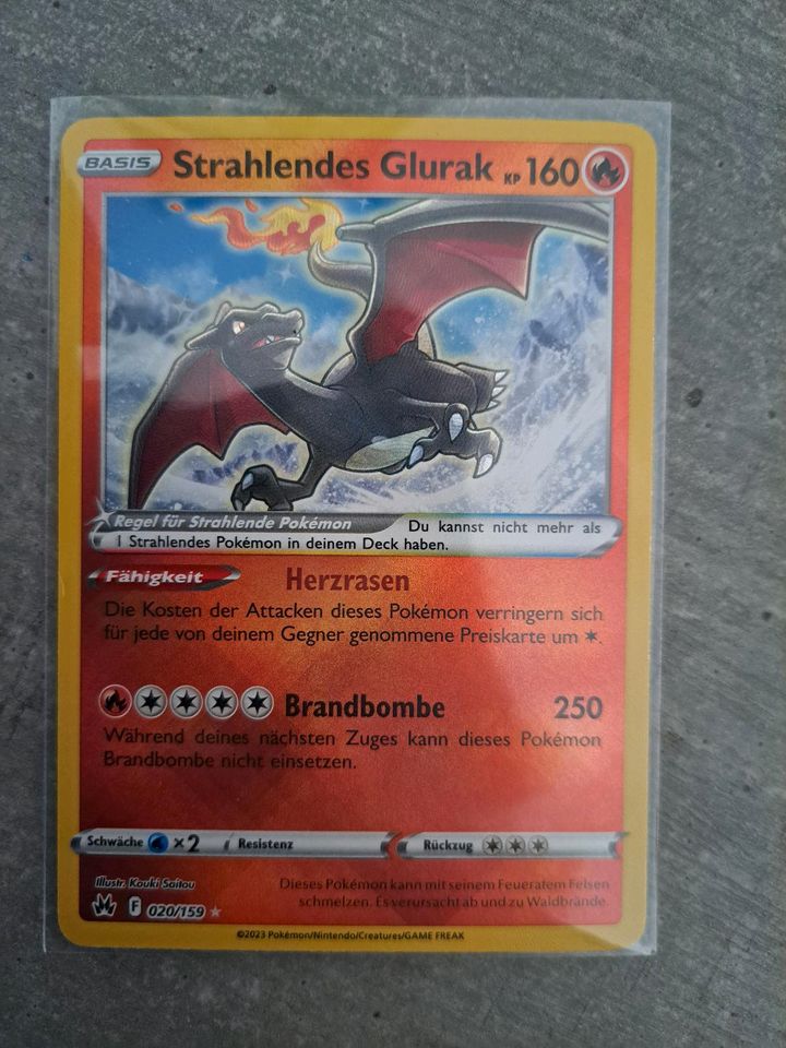 6 Strahlende Pokemon: Glurak Simsala Endynalos Guardevoir Jirachi in Zwickau