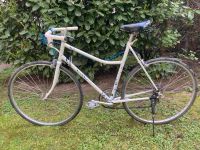 Winora Rennrad Meral Randonneur Commuter unisex Leipzig - Plagwitz Vorschau