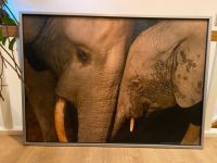 Elefantenbild von Ikea Niedersachsen - Bösel Vorschau