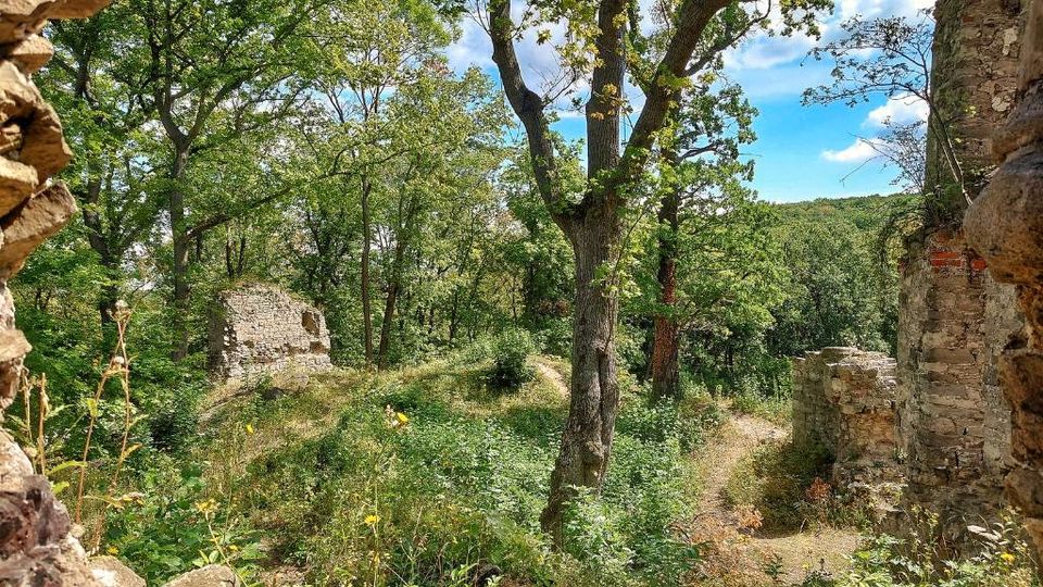 Ferienwohnung Thale Quedlinburg Harz Biker Fahrrad Familienbett in Thale-Stecklenberg