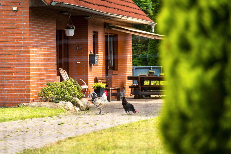 Eigener Wald ! Großes Einfamilienhaus mit vielfältigen Möglichkeiten wartet auf Sie! in Kutenholz