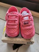 Firetrap Turnschuhe Lauflernschuhe weiche Sohle Gr. 19 -NEU Bayern - Mömlingen Vorschau