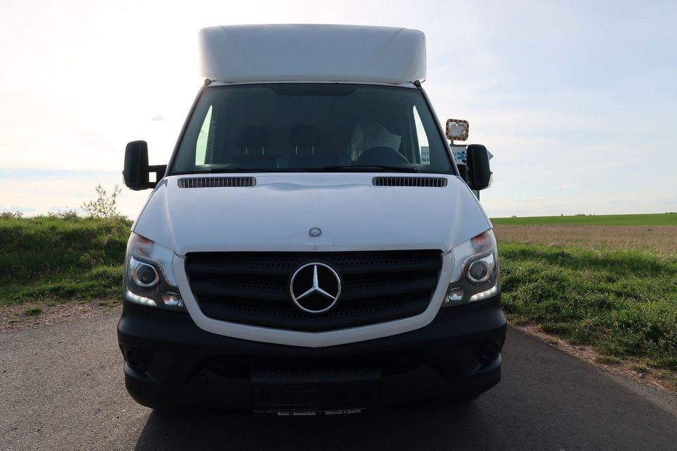 Mercedes-Benz SPRINTER 316 MAXI/KLIMA/AHK 3.0T/NAV/TEMP/XENON in Ichtershausen