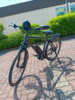 E Bike 28 Zoll mit hydraulischen bremsen Top Zustand Saarland - Homburg Vorschau
