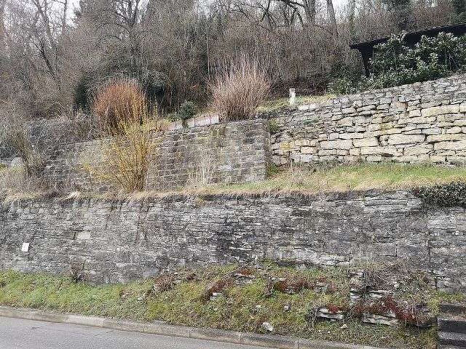 Der Freie ADLER | Terrassiertes Freizeitgrundstück mit Wasser + Geräteschuppen in Haigerloch