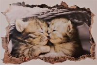 3D Wandtattoo Wandaufkleber Sticker Deko Katzen schlafend Nordrhein-Westfalen - Solingen Vorschau