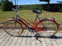 Fahrrad rot/türkis, Schauff Germany Bayern - Obertraubling Vorschau