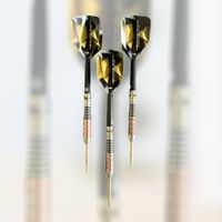 SHOT MICHAEL SMITH BELIEVE STEELDARTS UND SOFTDARTS Bayern - Kissing Vorschau