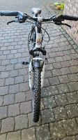 Bottecchia Mountainbike, FX 520 Rheinland-Pfalz - Flammersfeld Vorschau