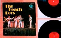 2 LP: The Beach Boys, Surf Rock Pop, 2 Vinyl Schallplatten 1973 Leipzig - Schönefeld-Abtnaundorf Vorschau