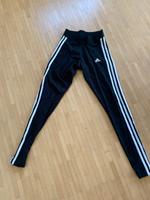Adidas Leggins Bayern - Regensburg Vorschau
