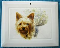 Yorkshire - Terrier - Fliese - Kachel Rheinland-Pfalz - Saarburg Vorschau