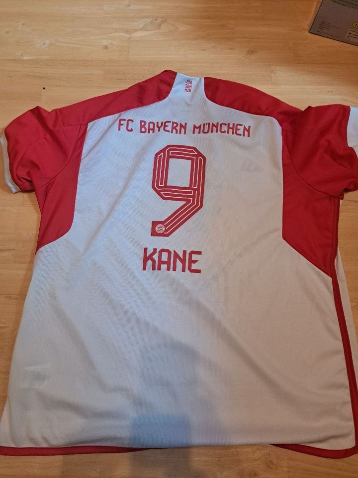 FC Bayern München Trikot Nr.9 Kane Größe 3XL in Namborn