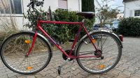 Fahrrad zu verkaufen Hessen - Friedrichsdorf Vorschau