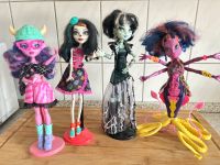 Monster High Puppen Schleswig-Holstein - Flensburg Vorschau