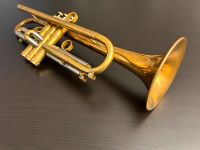 Taylor Chicago 46II Trompete HEAVY trumpet TOP ZUSTAND Obergiesing-Fasangarten - Obergiesing Vorschau