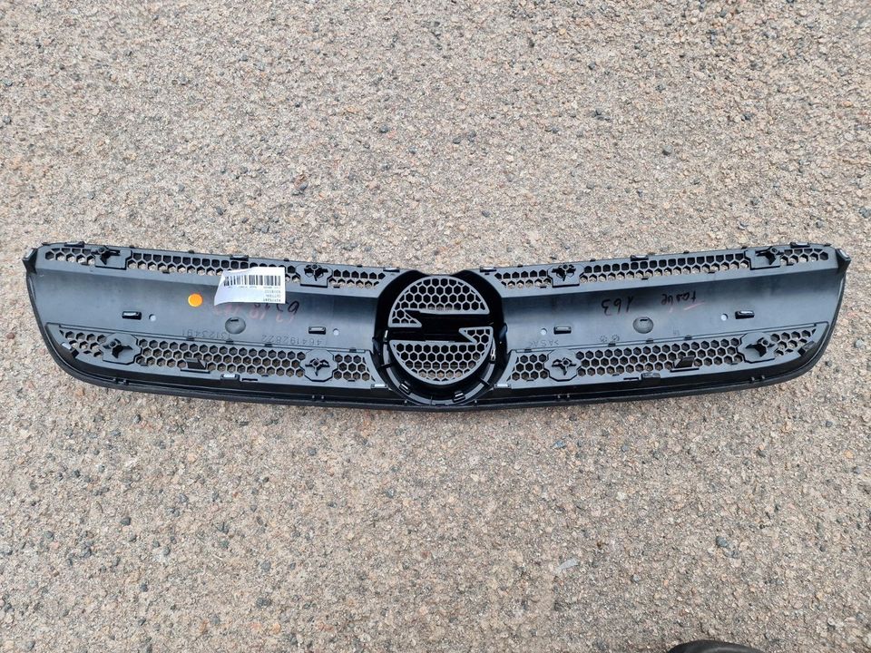 original OPEL SIGNUM Gitter Grill Kühlergrill 6318112 NEU in Radebeul