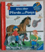 Buch Alles über Pferde und Ponys Leipzig - Großzschocher Vorschau