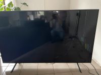 Samsung TV Bildschirm defekt Fernseher 75 Zoll Nordrhein-Westfalen - Leverkusen Vorschau