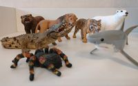 Schleich Tiere Bär, Tiger, Löwe, Krokodil, Spinne, Delfin Schleswig-Holstein - Vaale (Holst) Vorschau