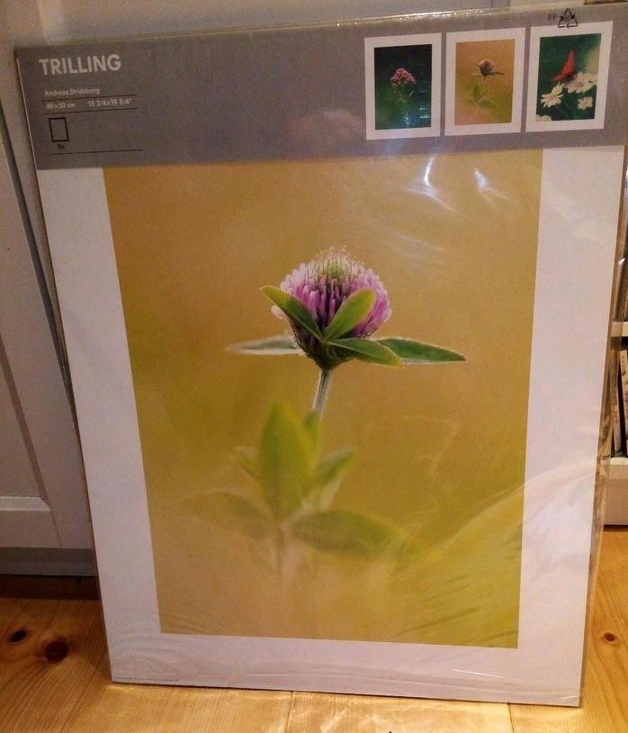 Trilling Andreas Stridsberg IKEA NEU 40x50 cm selten in Diera-Zehren