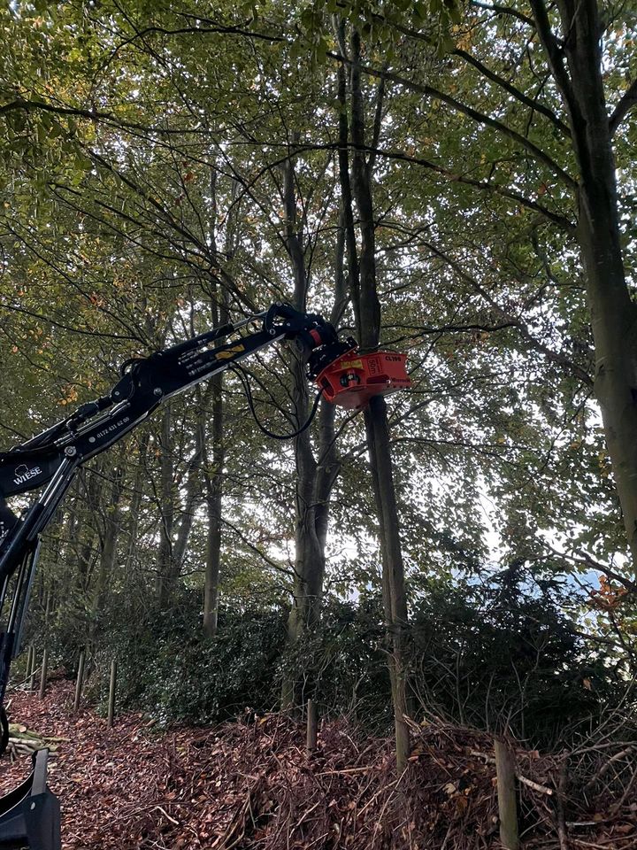 Knickpflege Baggerarbeiten Bagger Mulcher Gewässerunterhaltung in Bad Zwischenahn