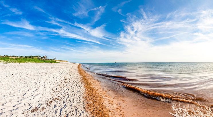 ⭐⭐⭐⭐ Luxus Ferienwohnung OSTSEE KRABBE familienfreundlich ruhig in Rostock