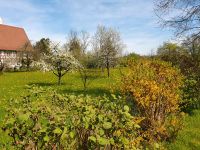 Heu aus Steuobstwiese Baden-Württemberg - Leutkirch im Allgäu Vorschau