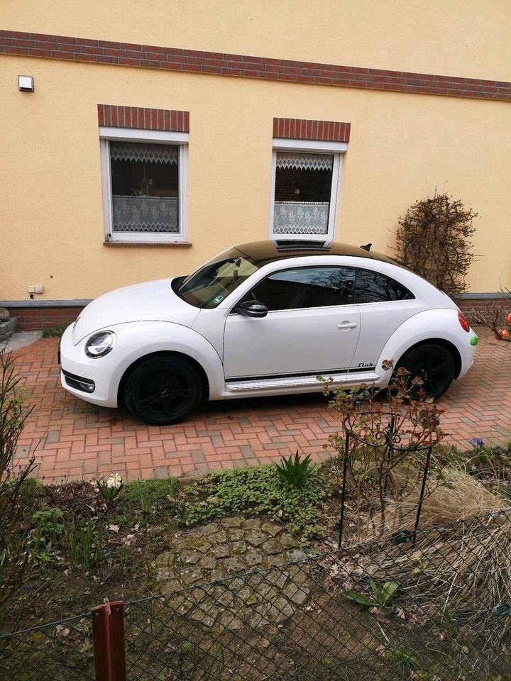 VW Beetle Cup Sondermodell top Zustand in Grabow