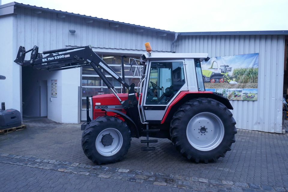 Massey Ferguson 3065 Traktor in Dorfen