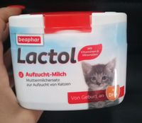 Lactol Aufzucht-Milch für Katzen Sachsen-Anhalt - Bad Lauchstädt Vorschau