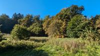 Grundstück, Baugrund, Baugrundstück, Wellheim Konstein, tolle Lage, 1.196 m² Bayern - Wellheim Vorschau