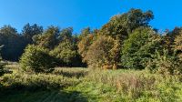 Grundstück, Baugrund, Wellheim Konstein, tolle Lage, 1.196 m² Bayern - Wellheim Vorschau