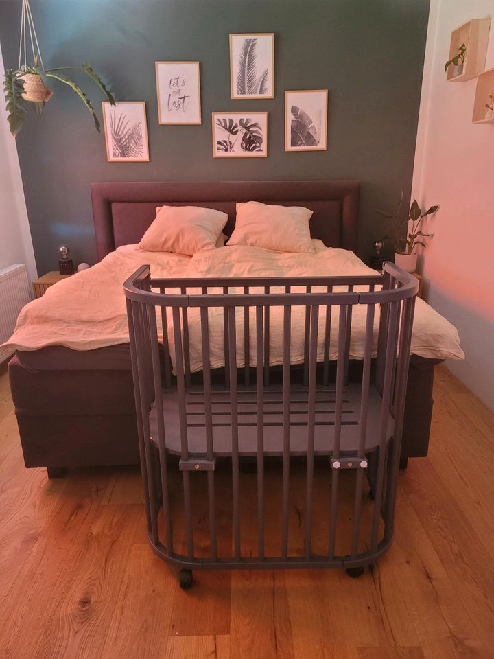 Babybay boxspring comfort plus  in schiefergrau in Verl