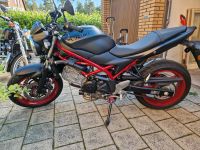 Suzuki 650 SV,  wenig km, Zustand wie neu Niedersachsen - Steimbke Vorschau