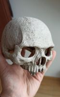 Totenkopf (realistisch aussehender Totenschädel, Skull, Knochen) Bayern - Würzburg Vorschau