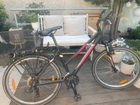 Pegasus Kinderfahrrad 18 Gänge 26 Zoll Bad Godesberg - Friesdorf Vorschau