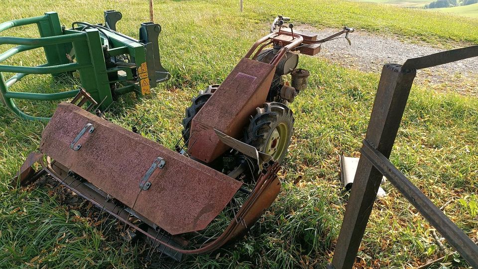 Aebi AM41 Eingrasmäher in Stiefenhofen