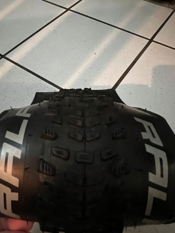 Schwalbe Racing Ralph 29x2.25 in Reutlingen