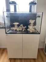 Meerwasseraquarium mit Unterschrank Red Sea REFFER 250 Deluxe Bayern - Wenzenbach Vorschau