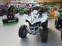 Kymco MAXXER 250 Bielefeld - Brackwede Vorschau