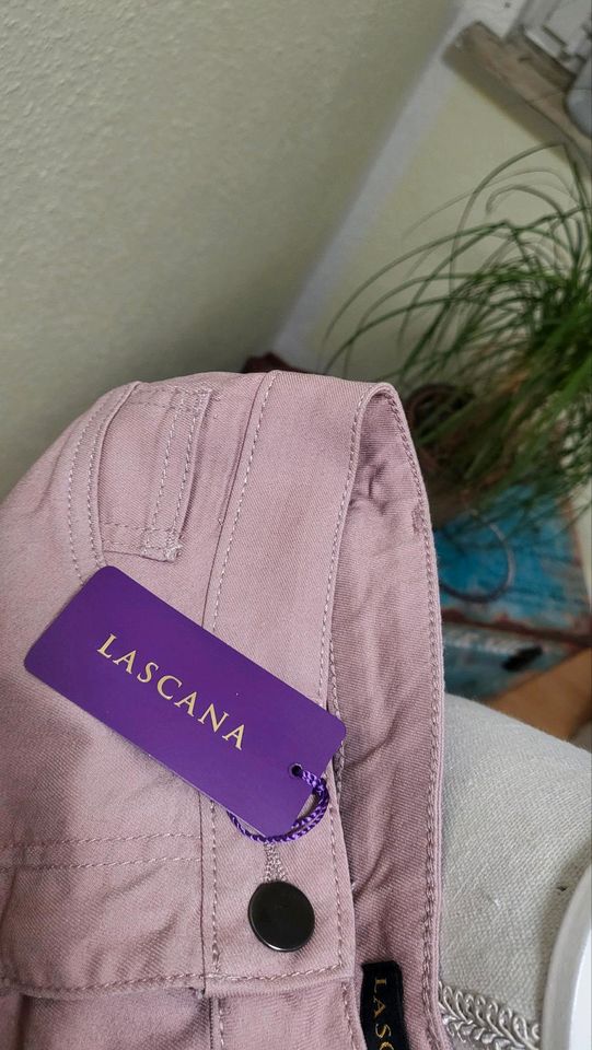 Lascana Damenjeans Gr.36 Rose Röhre Neu in Braunschweig