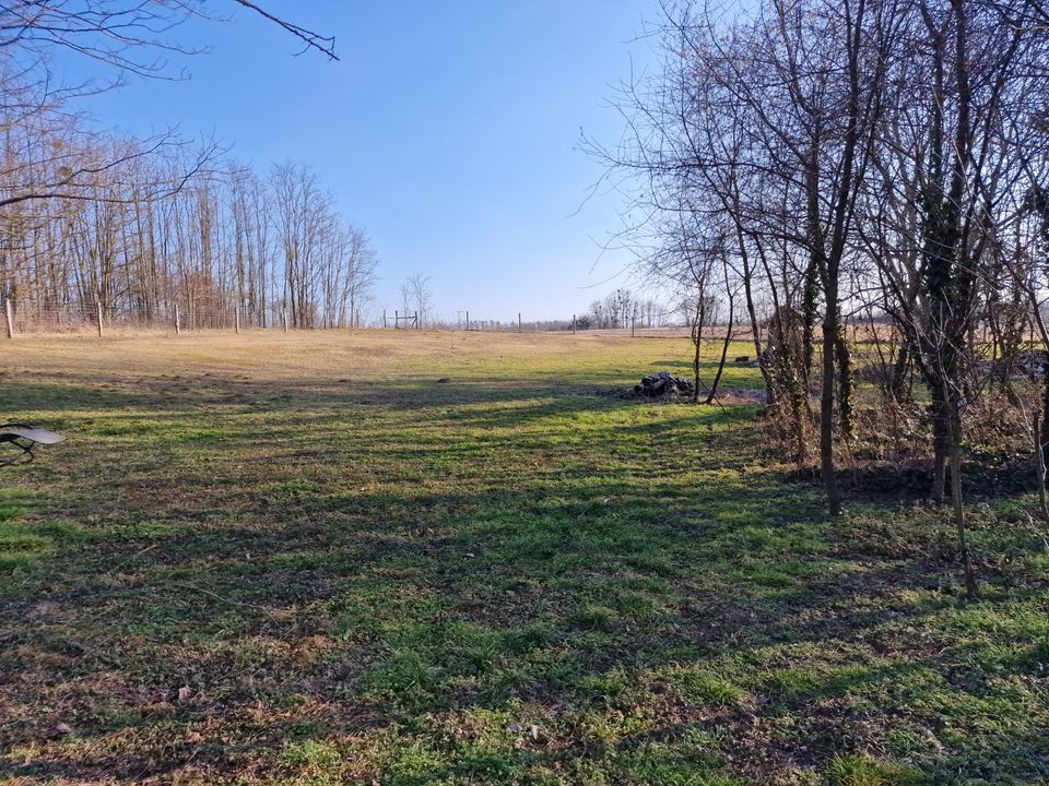 Top Renoviertes Landhaus mit Wald und großem Grundstück in Ungarn kaufen in Dresden