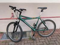 Canondale Ringlé Mountainbike 26" Baden-Württemberg - Oberkirch Vorschau