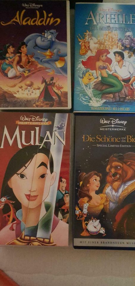 Disney VHS Arielle, Mulan, Aladdin, Die schöne und das Biest. in  Hamburg-Nord - Hamburg Winterhude | Filme & DVDs gebraucht kaufen | eBay  Kleinanzeigen ist jetzt Kleinanzeigen