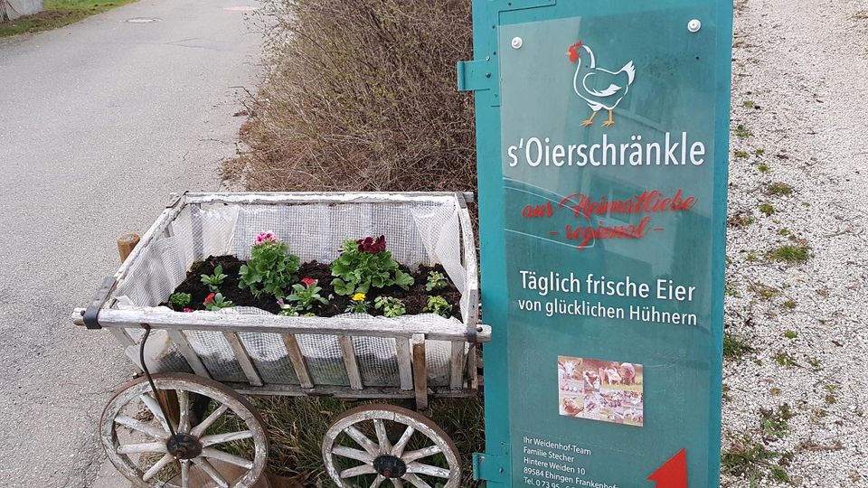 Frische Eier von glücklichen Hühnern aus Hobbyhaltung in Ehingen (Donau)